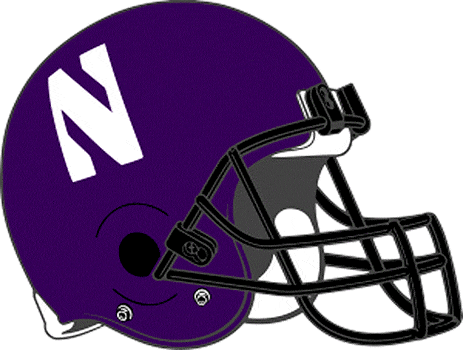 Northwestern Wildcats 1994-Pres Helmet Logo t shirts iron on transfers